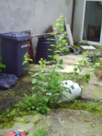 Chorley House Clearance and Rubbish Removal 254960 Image 5